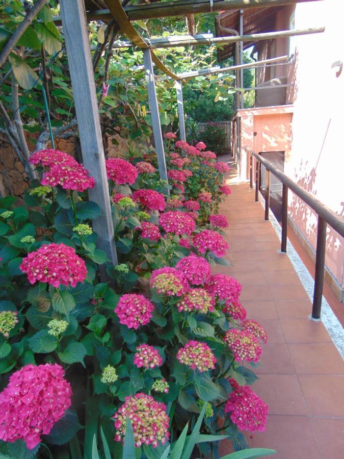 Casa Roberto B&B Savona Bagian luar foto